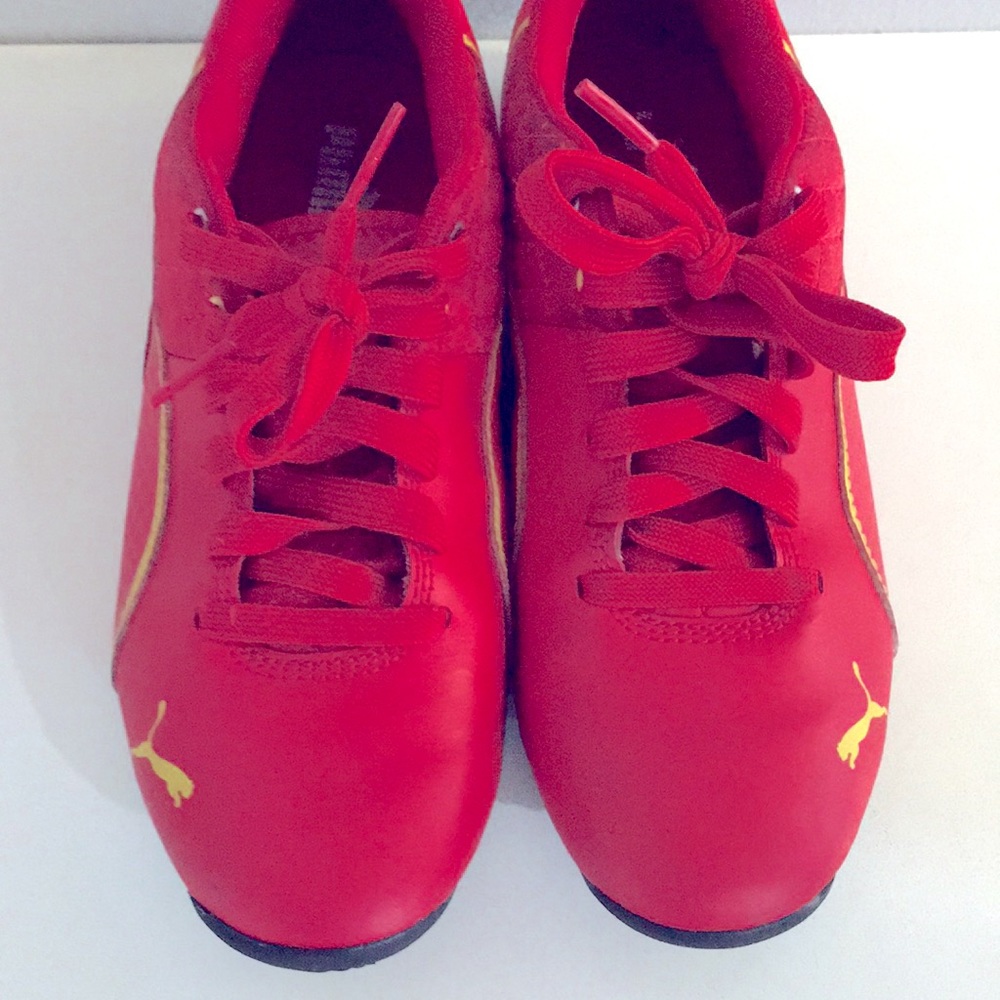 Puma - Picture 3 of 9